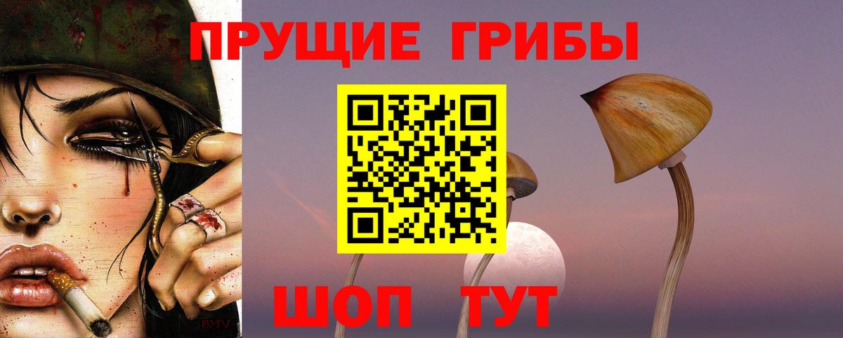 Галлюциногенные грибы Cubensis  Псилоцибиновые грибы Cubensis  Великий Устюг  Вход с VPN 