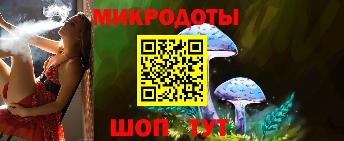 Псилоцибиновые грибы Psilocybine cubensis Великий Устюг